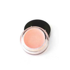 lipgloss ayurveda lakshmi
